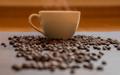 Nullam Efficitur Velit Quis Nunc Fermentum Condimentum